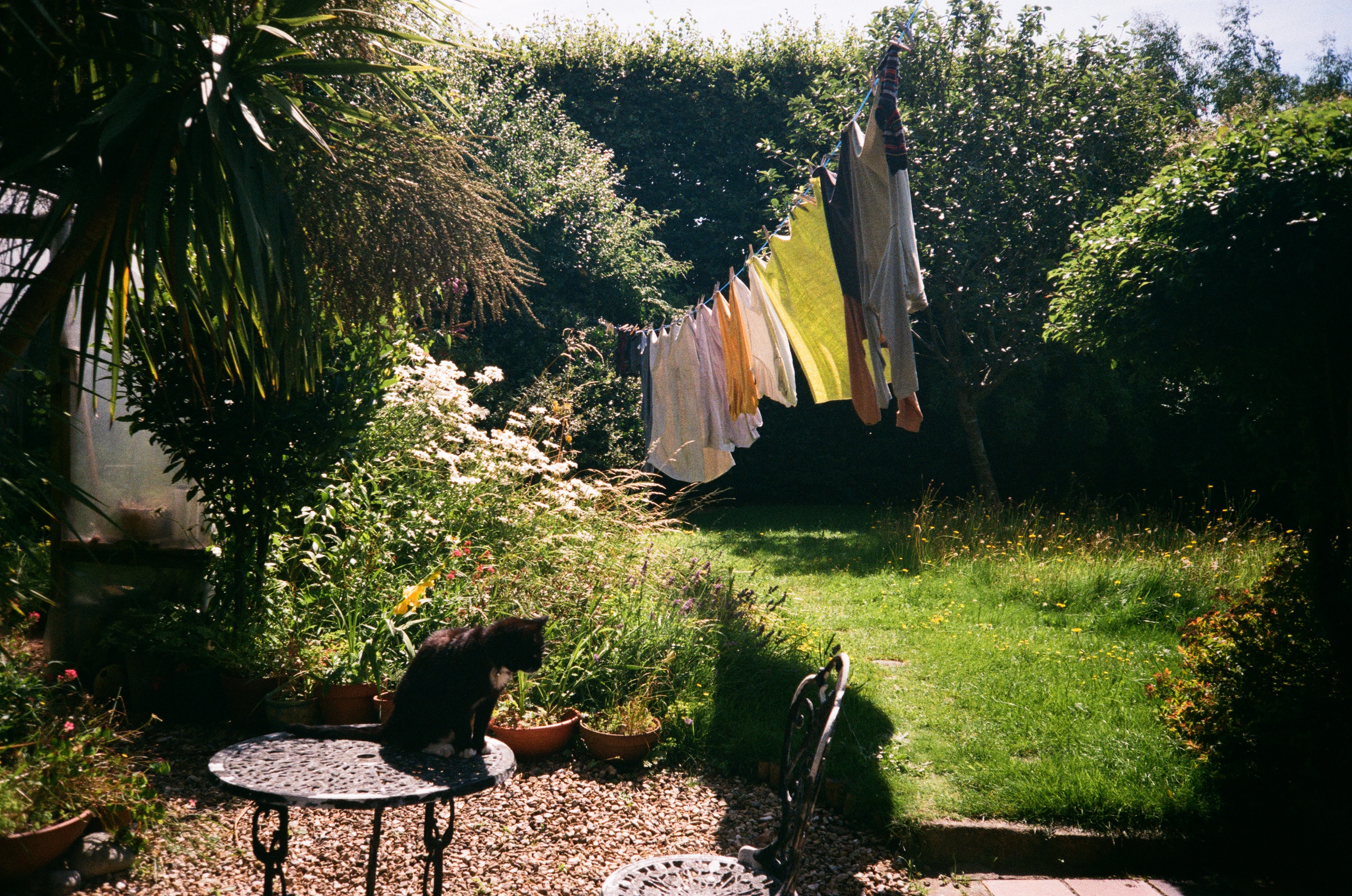 KitKat in the Garden